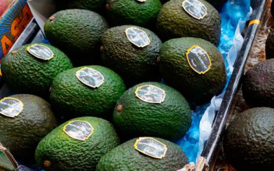 El aguacate, producto estrella en Fruit Attraction 2024