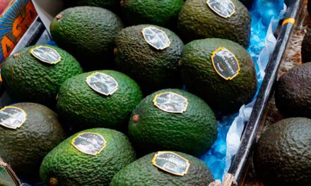 El aguacate, producto estrella en Fruit Attraction 2024