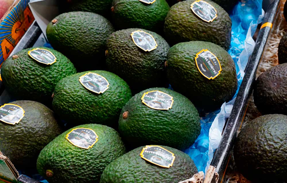 El aguacate, producto estrella en Fruit Attraction 2024