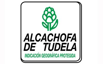 Alcachofa de Tudela