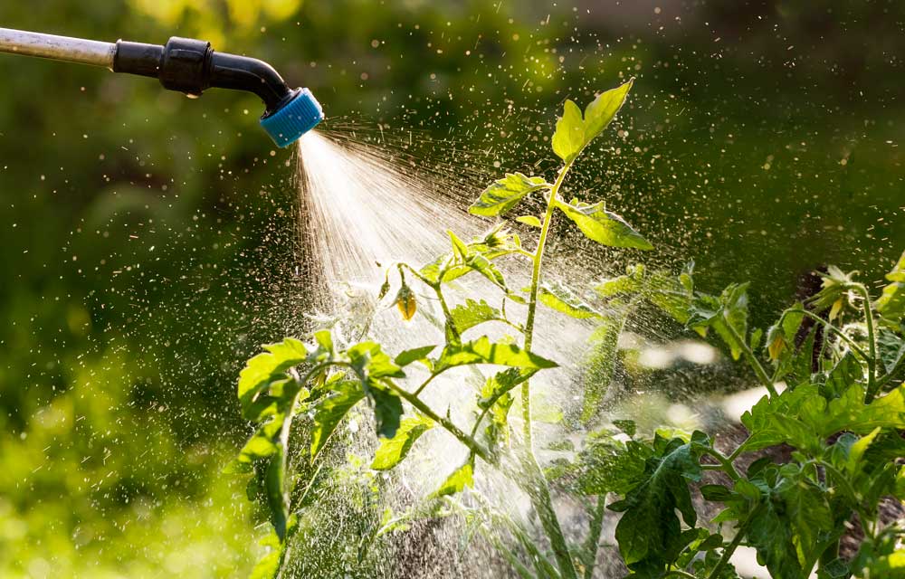 fertilizantes foliares líquidos