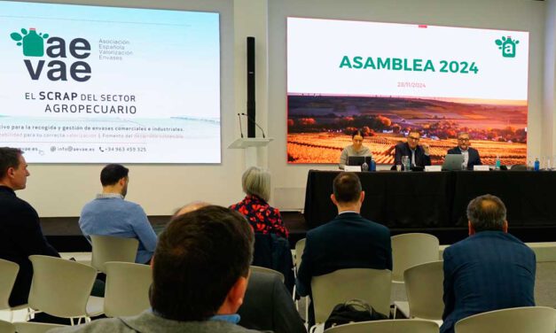 La Asamblea General de AEVAE 2024