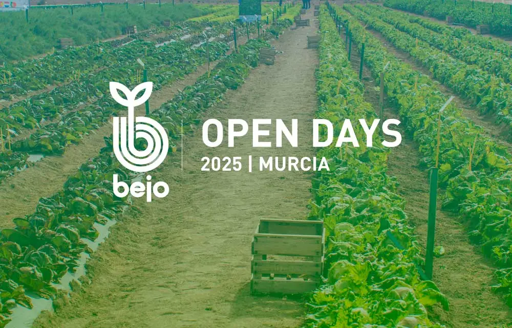 Open Days Bejo 2025