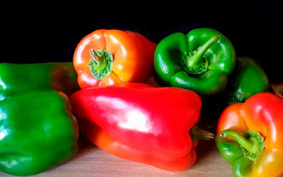 Informe técnico para el cultivo del pimiento