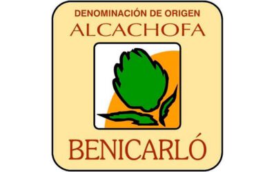 Alcachofa de Benicarló / Carxofa de Benicarló