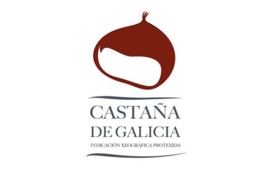 Castaña de Galicia