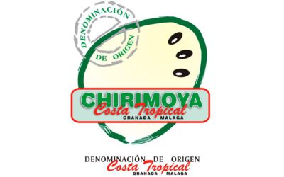 Chirimoya de la Costa Tropical de Granada-Málaga