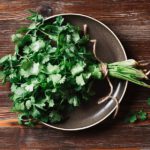 El cilantro como especia