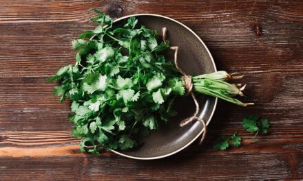 El cilantro como especia