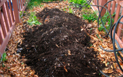 Compost orgánico para el huerto