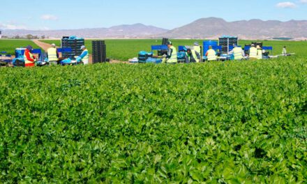 La agricultura extensiva de alto valor