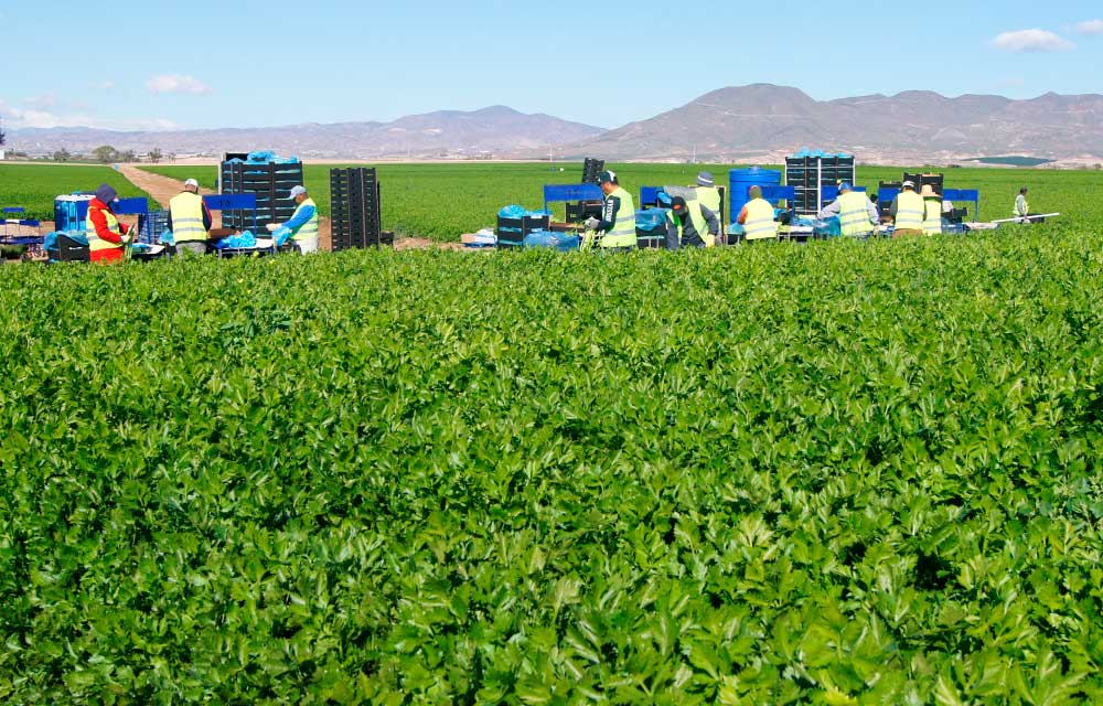 La agricultura extensiva de alto valor