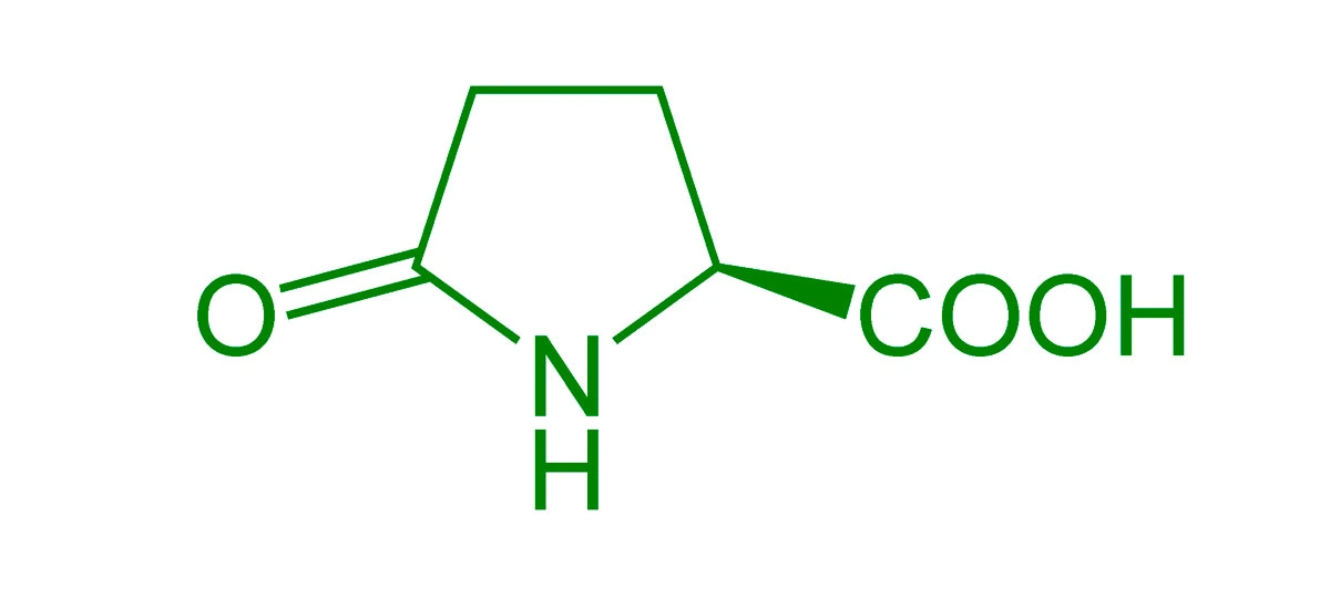 Fórmula química del ácido pidólico