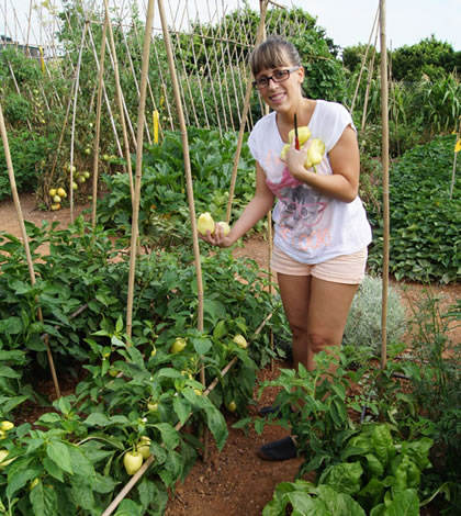 Jardineras y macetas  Jardinería TOT en U en Valencia