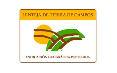 Lenteja de Tierra de Campos