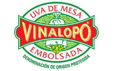 Uva de Mesa Embolsada del Vinalopó