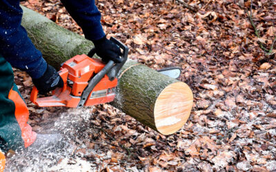 Cómo usar una motosierra para cortar árboles