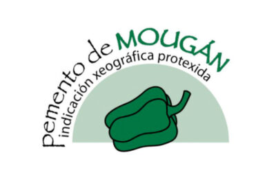 Pemento de Mougán