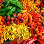 Tipos de pimiento