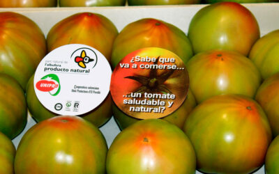 Tomate del Perelló