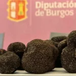 Feria de la Trufa Negra de Burgos